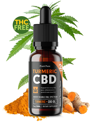 CBD Turmeric